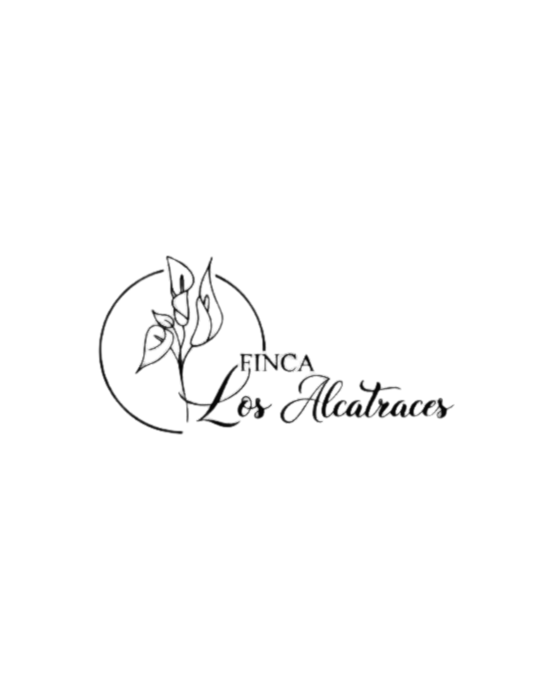 LogoKreatify06