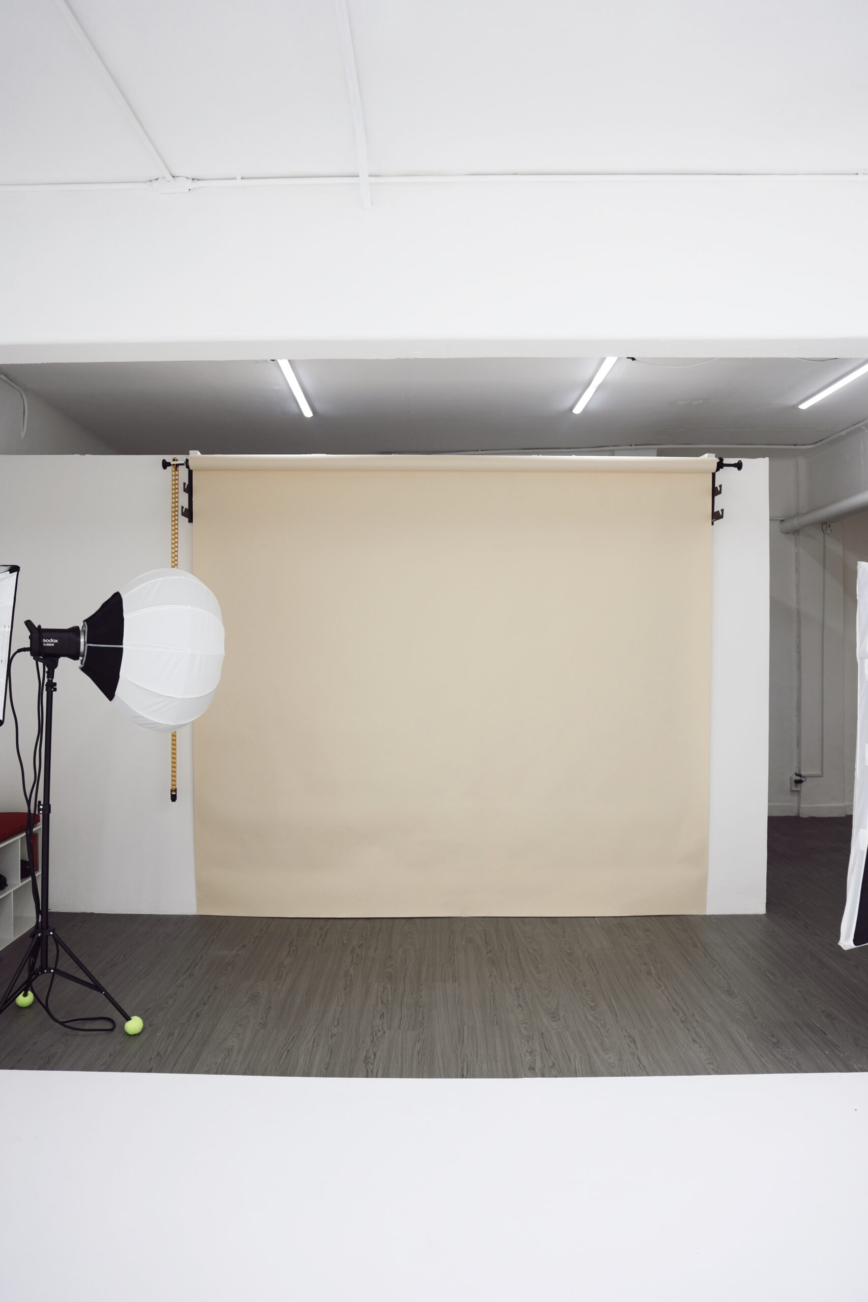 Studio 17 Tezza 8665 scaled